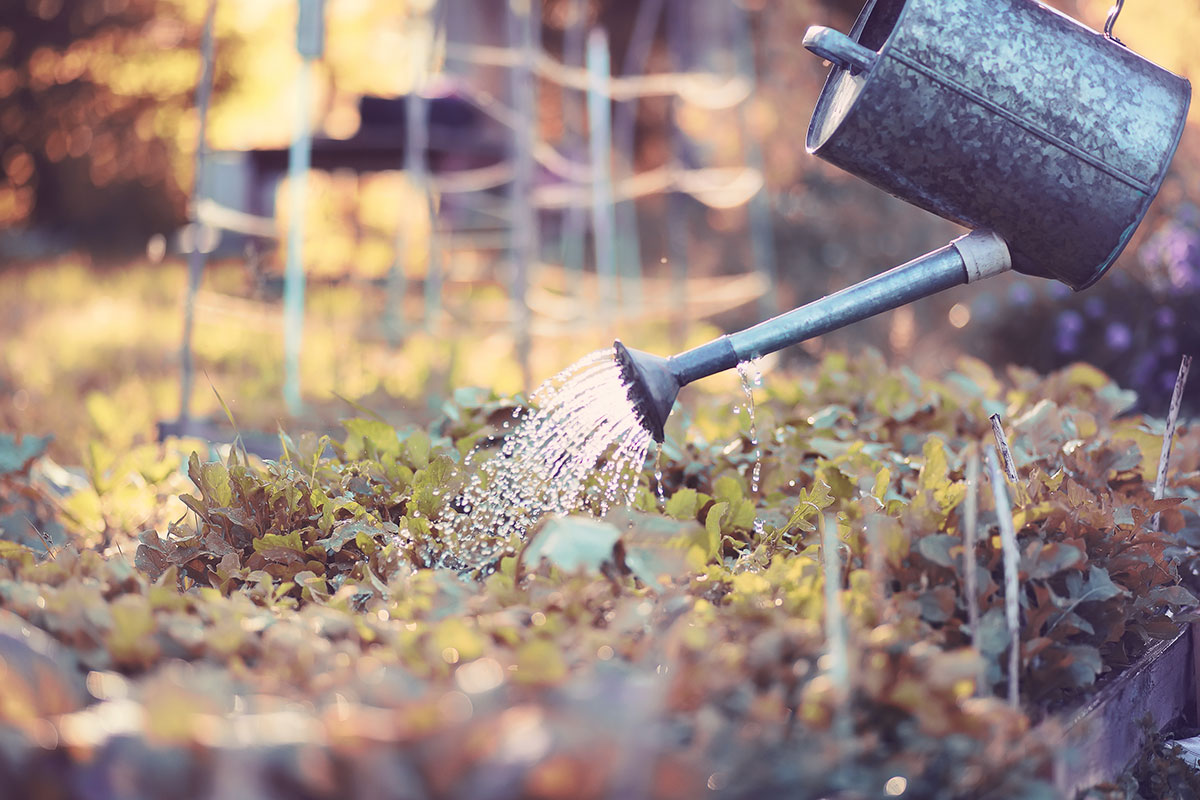 Connecting with ourselves and with others