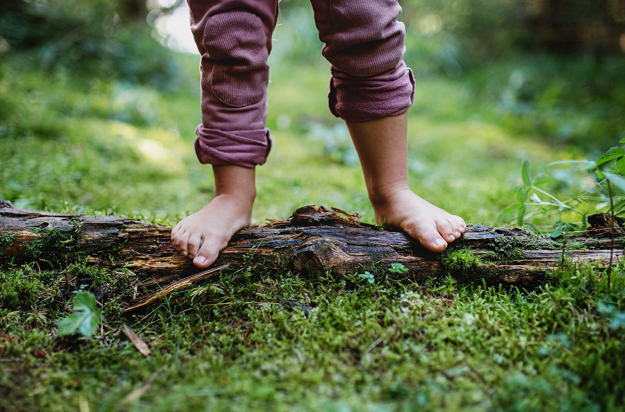 La naturaleza como regulador del estrés